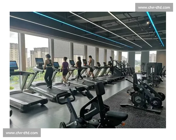 构建面向全民健身的体育基础内容资源整合平台与数字化服务创新体系建设 - 副本 - 副本